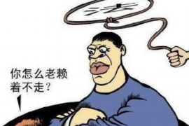 惠阳贷款清欠服务